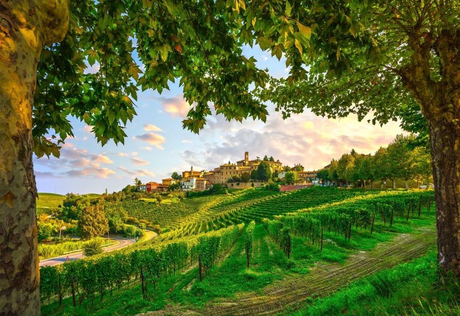 From Milan: Barolo Wine Tasting, Alba Tour and Castle Visit - Key takeaways before you go