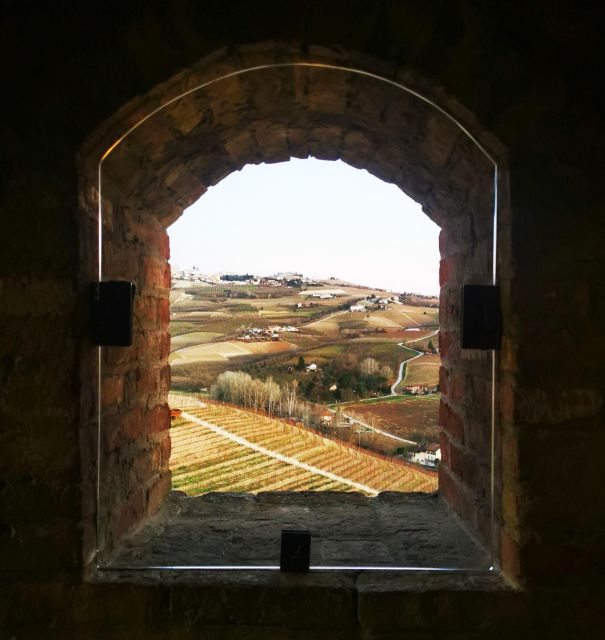 From Milan: Barolo Wine Tasting, Alba Tour and Castle Visit - Who this tour is best for