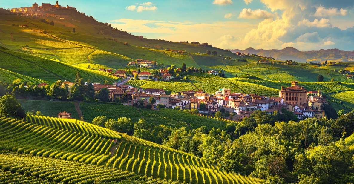 From Milan: Barolo Wine Tasting, Alba Tour and Castle Visit - From Milan to the Langhe: why this day trip works