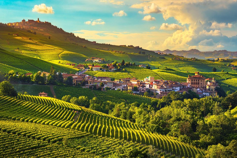 From Milan: Barolo Wine Tasting, Alba Tour and Castle Visit - Alba walking tour: medieval streets, truffle culture, and chocolate stops