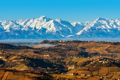From Milan: Barolo Wine Tasting, Alba Tour and Castle Visit - The wine tasting at a family-run winery in the rolling hills