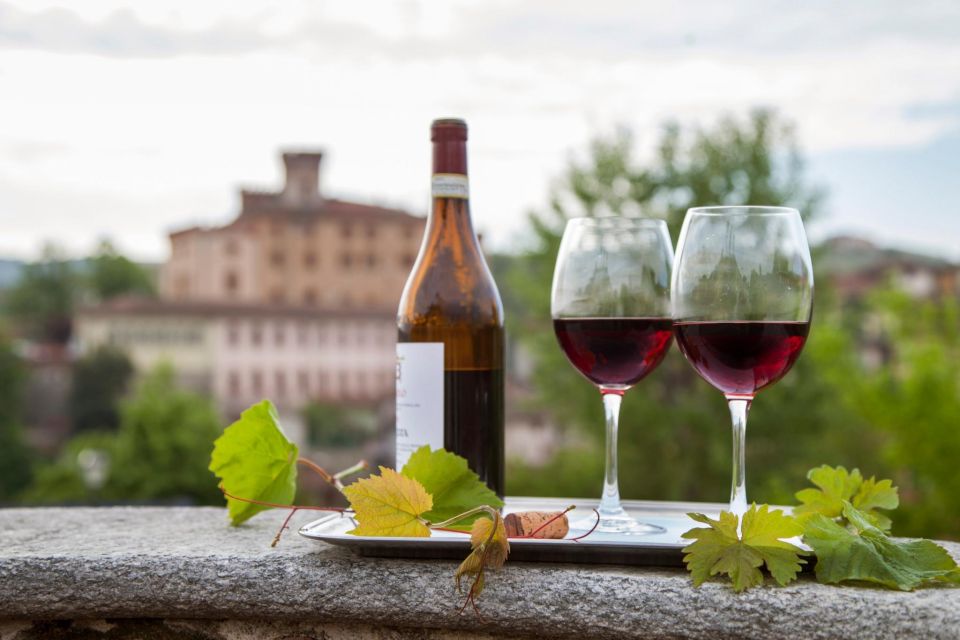 From Milan: Barolo Wine Tasting, Alba Tour and Castle Visit - The hilltop castle stop: panoramic views you can feel
