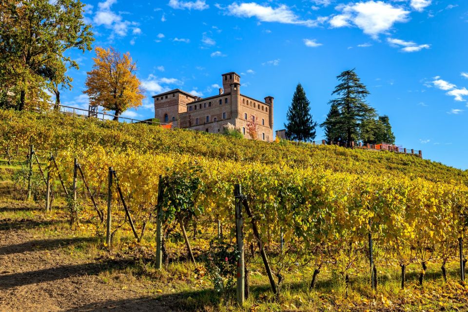 From Milan: Barolo Wine Tasting, Alba Tour and Castle Visit - The oldest enoteca wine shop moment in Langhe