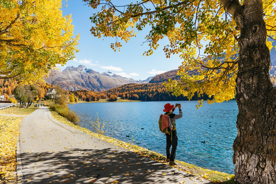 From Milan: St. Moritz and Panoramic Bernina Express Tour - Milan to St. Moritz by Bus: Comfort, Pace, and Where to Meet