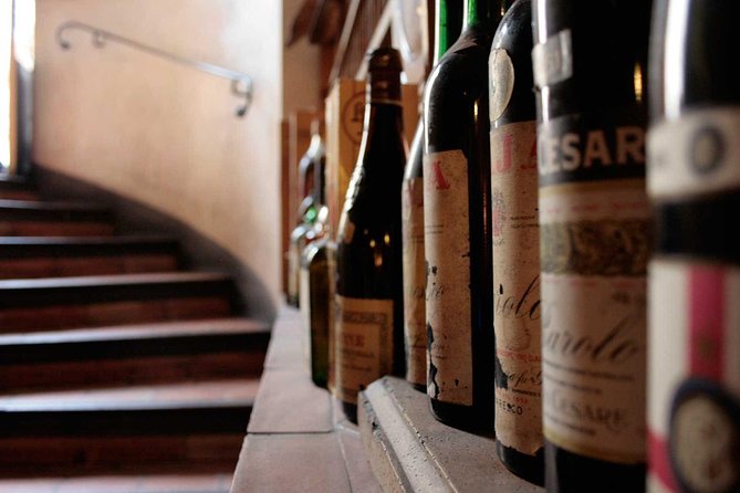 Italian Wine Tasting in Milan - Who This Milan Wine Tasting Suits Best