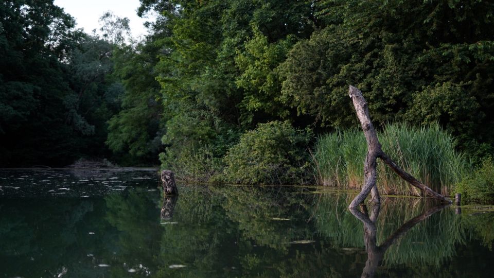 Milan: Bike Tour with Picnic on the turtle lake - Price and Value: Why $46 Makes Sense for This Mix