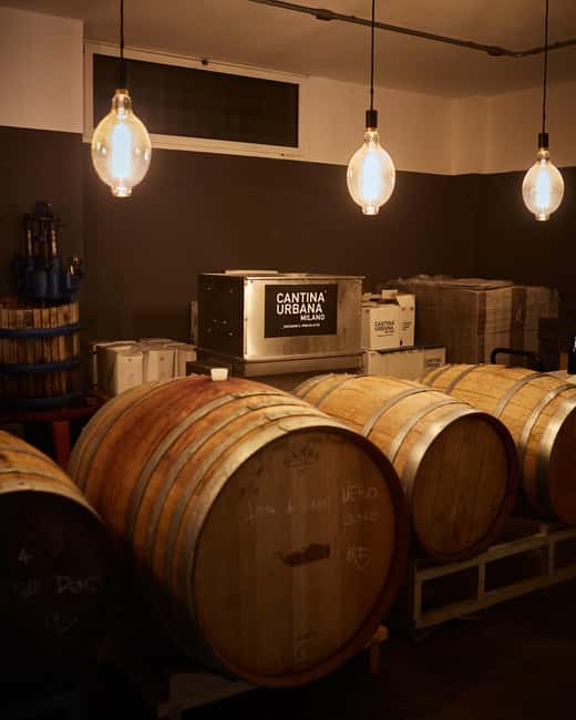 Milan: Wine Lovers Experience at Cantina Urbana Winery - What You Actually Taste: Six Wines and a Local Pairing Board