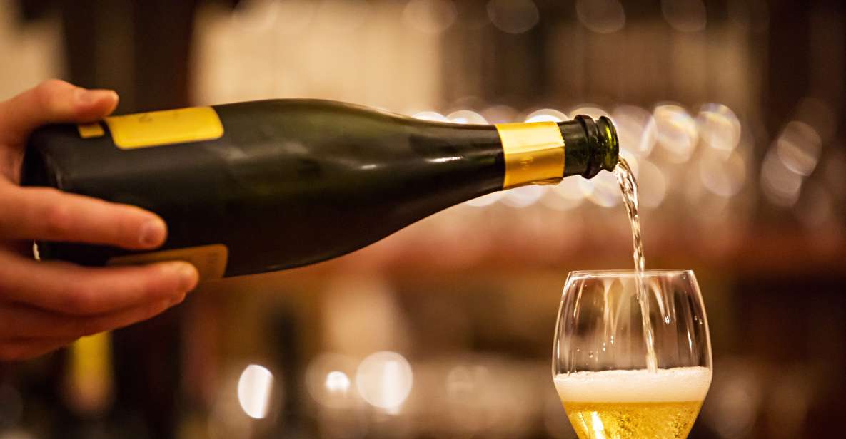 Milan: Wine Tasting Experience in the City Centre - The sommelier part that actually helps you order later