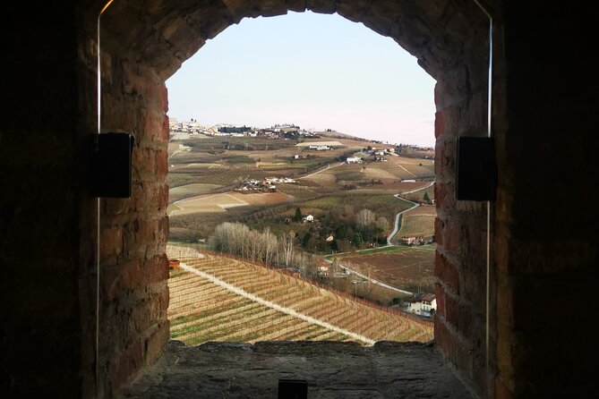 Small-Group Barolo Wine Tasting, Alba & UNESCO Piedmont Hills - Price and value: is $216.46 a fair deal for this mix?