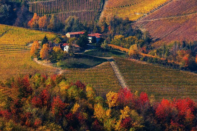 Small-Group Barolo Wine Tasting, Alba & UNESCO Piedmont Hills - Lunch, timing, and what you should plan to spend extra