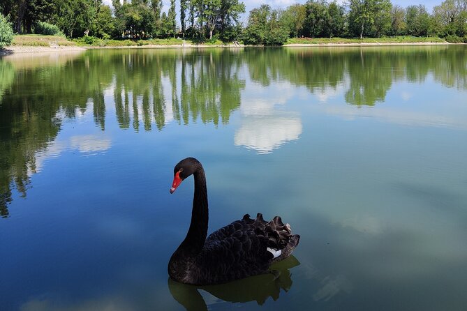 The Milan you don't expect, bike tour with picnic on the lake - Key things to know before you ride