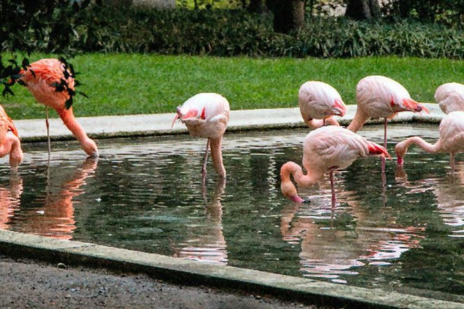 The Secret Milan – An Exclusive Stroll Beyond the Beaten Path - Quadrilatero della Moda (Quad d’Oro): the fashion quarter without the stress